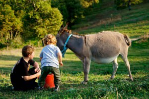 bambini che giocano con animali in agriturismo umbria