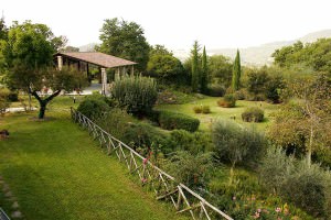 ambiente naturalistico agriturismo in umbria