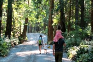 famiglia che passeggia nei boschi a contatto con la natura